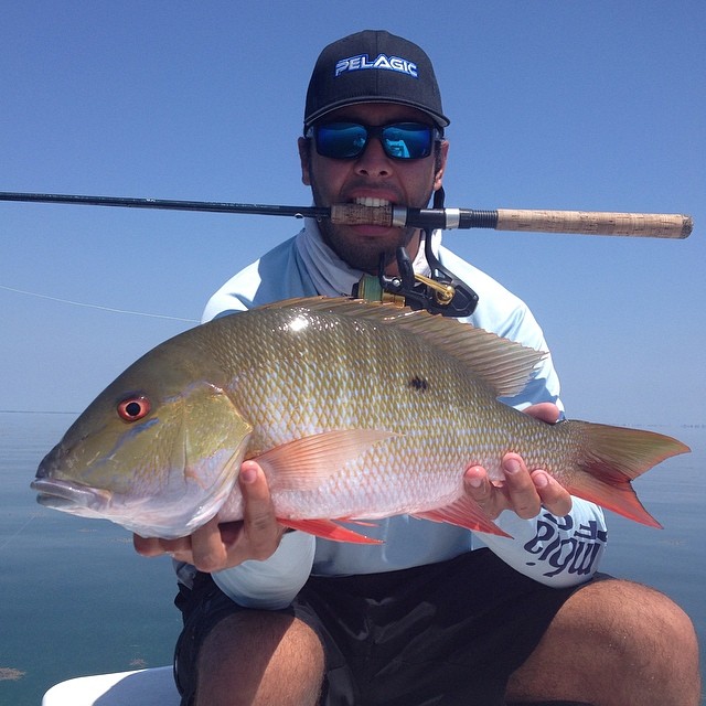 Sight fishing for Mutton Snapper