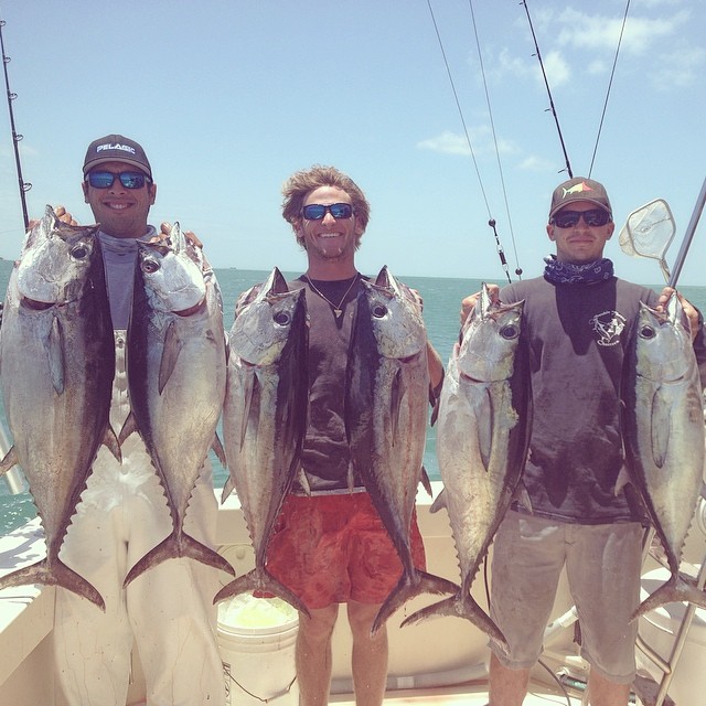 Blackfin Tuna off Miami