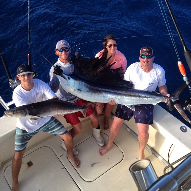 Cobia off the Kite