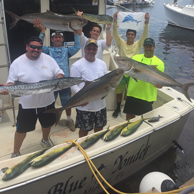 big amberjack