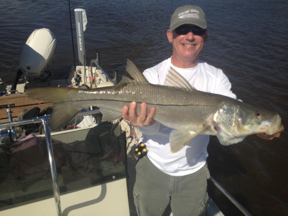 Flamingo Snook