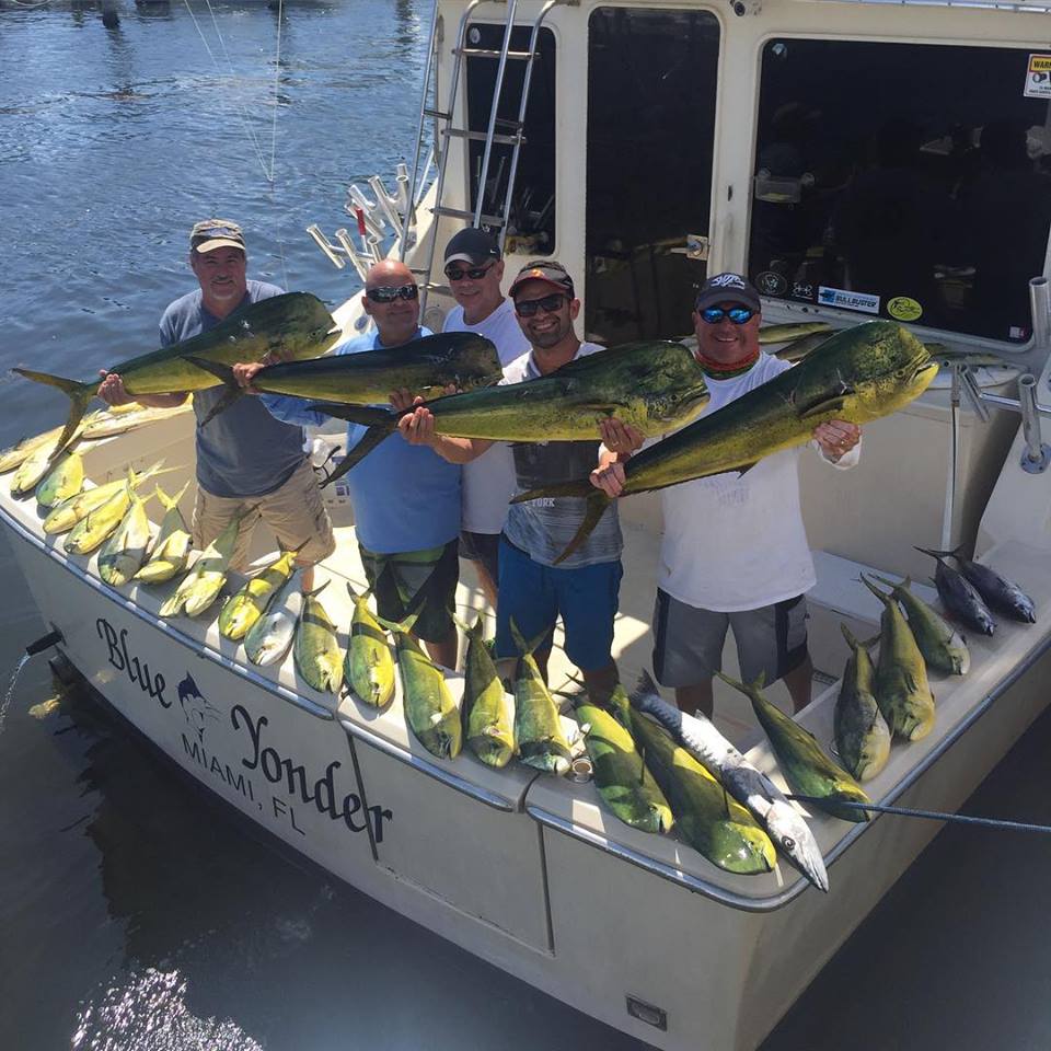 Miami Mahi