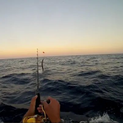 sunset sail