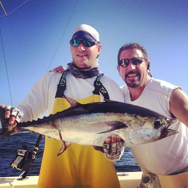 Blackfin Tuna Fall Blackfin Tuna