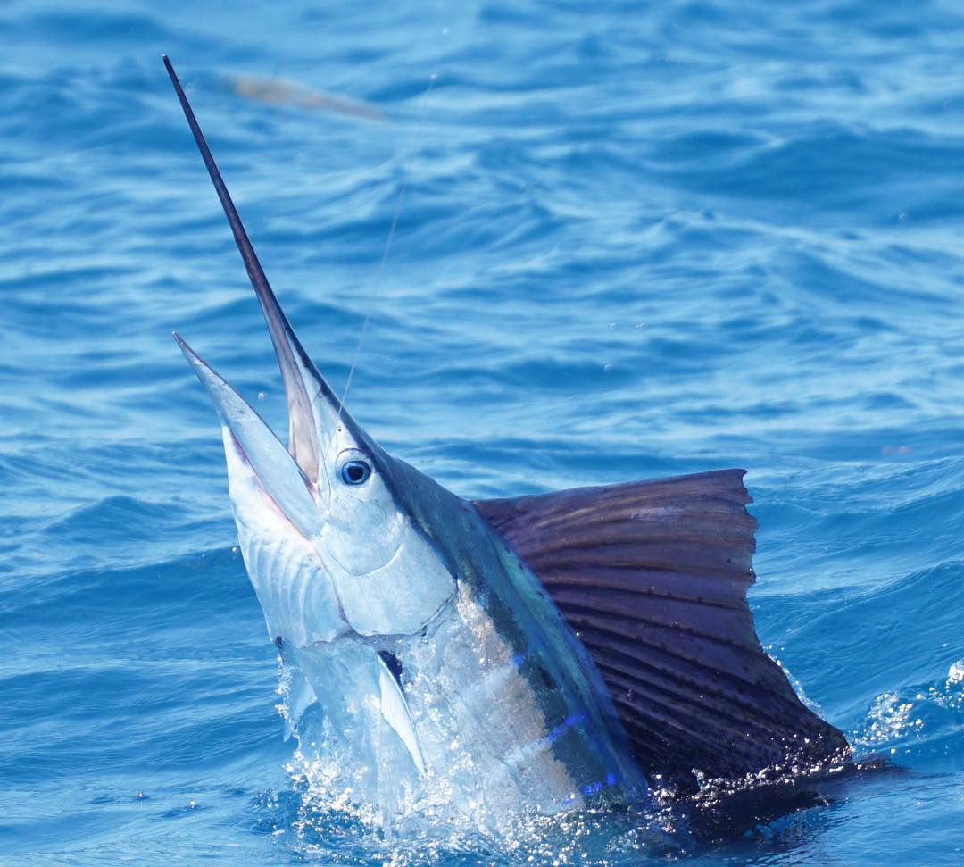 September and October Fishing Forecast