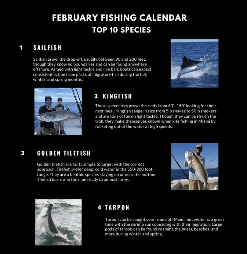 Miami Fishing Calendar by Month Double Threat Charters