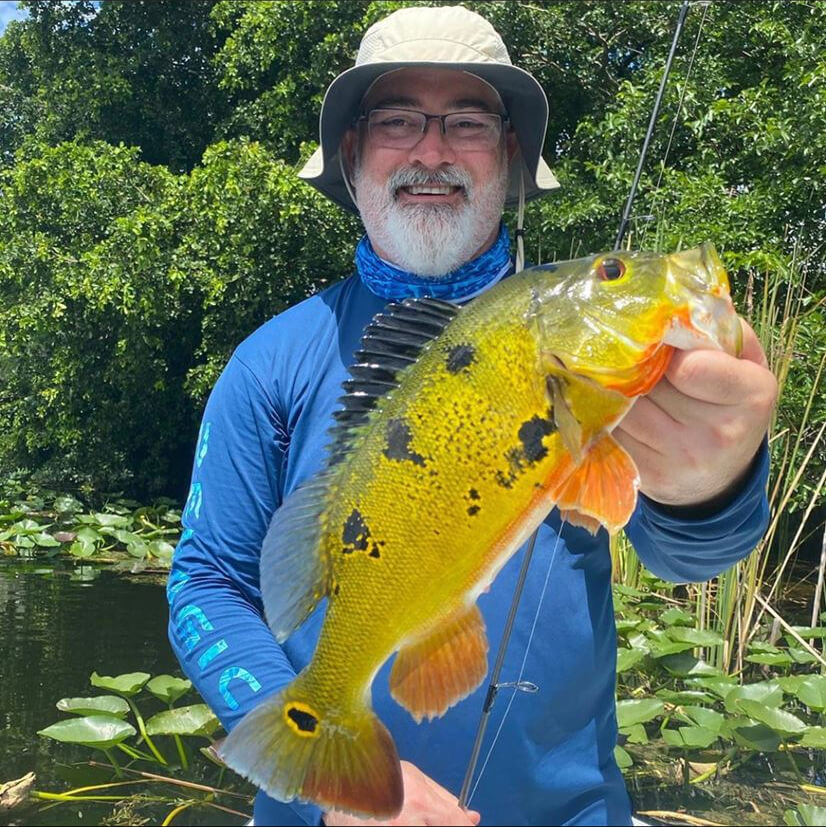 Best Peacock Bass Fishing Guides in Florida